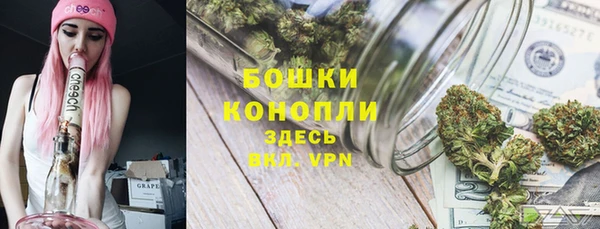 винт Надым