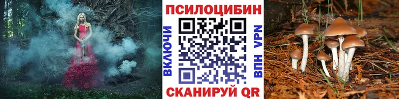 Галлюциногенные грибы GOLDEN TEACHER  Николаевск 